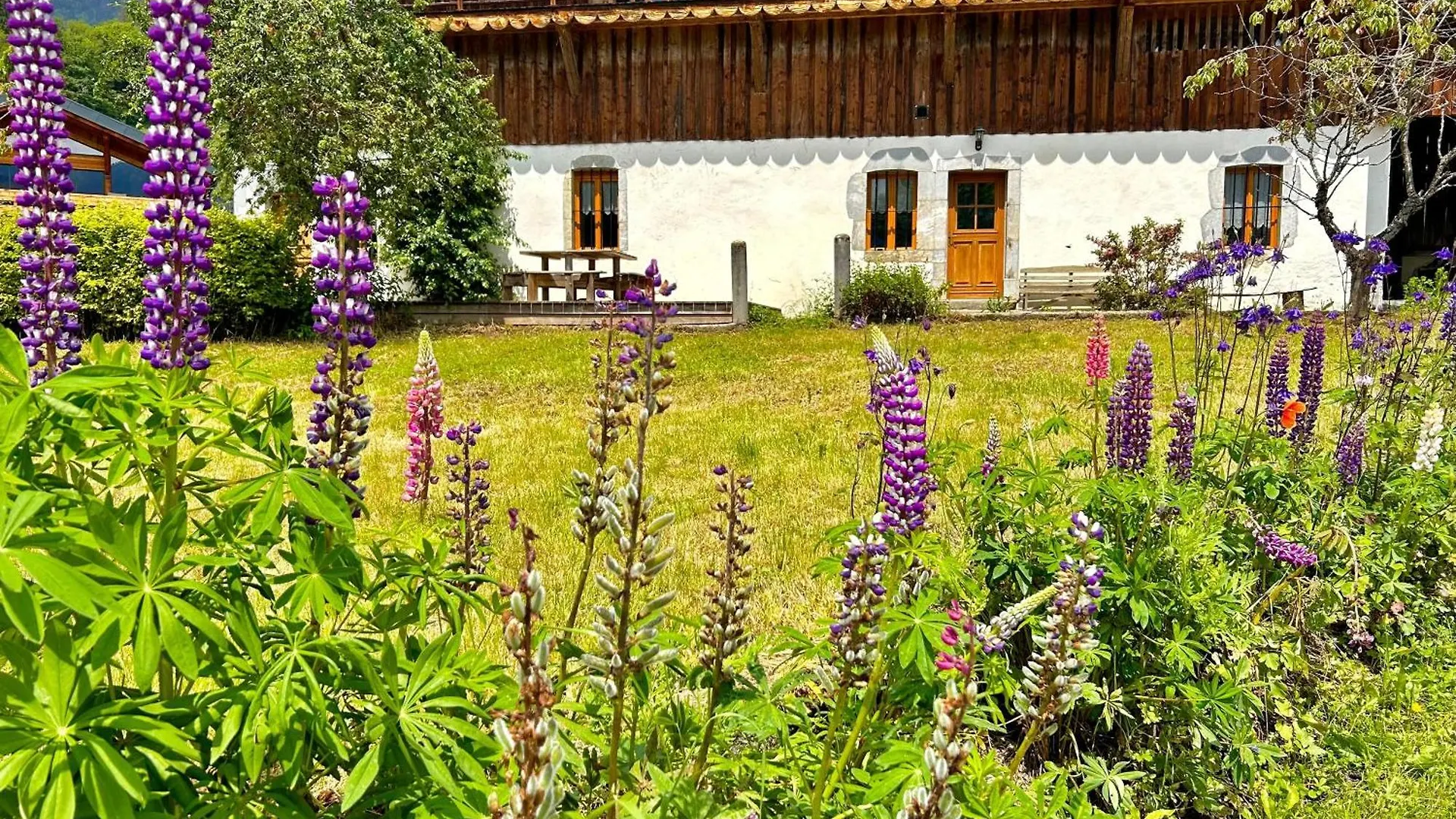 Appart Cosy Pour 8 Personnes Samoens Apartment